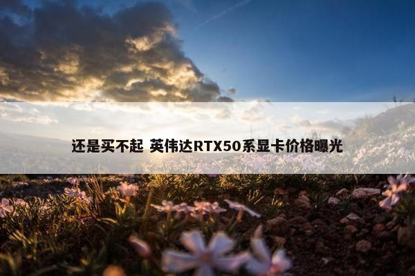 还是买不起 英伟达RTX50系显卡价格曝光