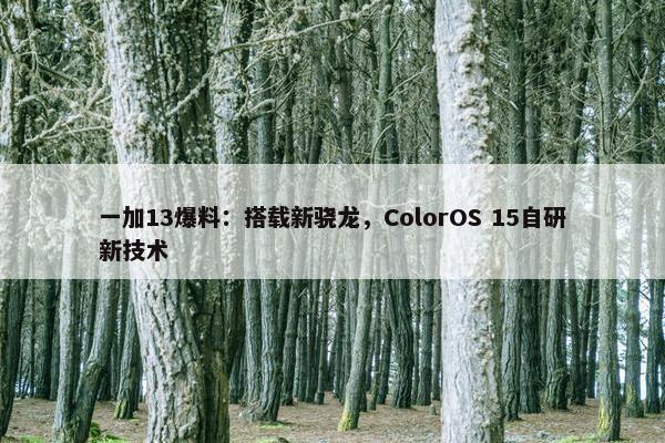 一加13爆料：搭载新骁龙，ColorOS 15自研新技术