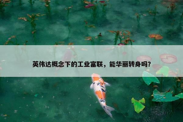 英伟达概念下的工业富联，能华丽转身吗？