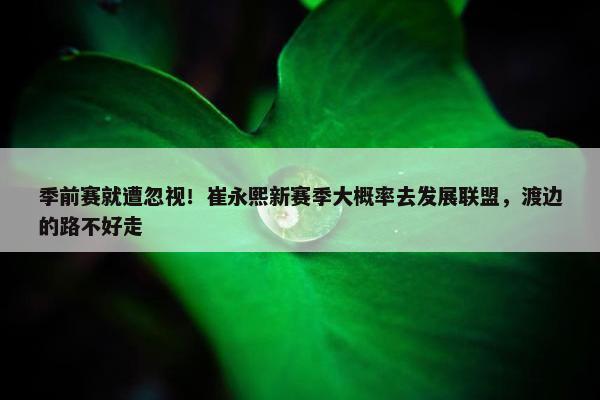 季前赛就遭忽视！崔永熙新赛季大概率去发展联盟，渡边的路不好走