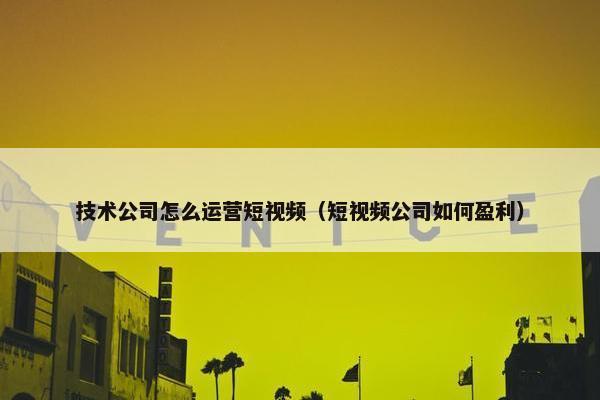 技术公司怎么运营短视频（短视频公司如何盈利）