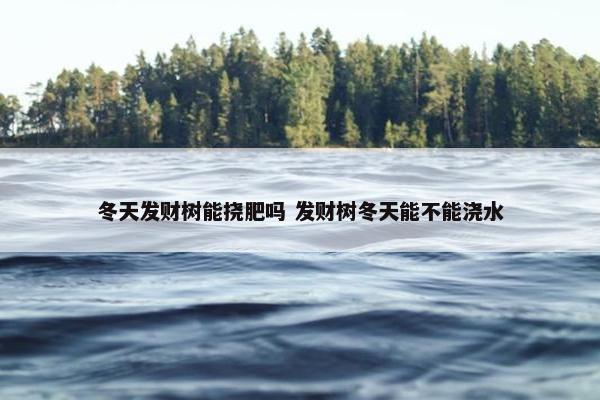 冬天发财树能挠肥吗 发财树冬天能不能浇水