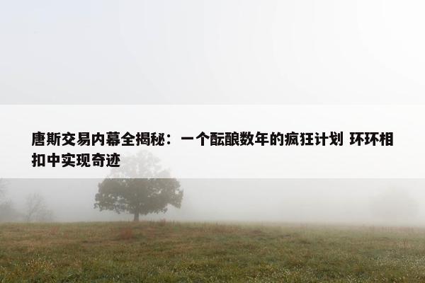 唐斯交易内幕全揭秘：一个酝酿数年的疯狂计划 环环相扣中实现奇迹