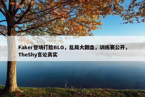 Faker登场打脸BLG，乱局大翻盘，训练赛公开，TheShy言论真实