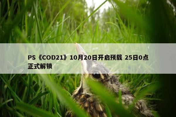 PS《COD21》10月20日开启预载 25日0点正式解锁