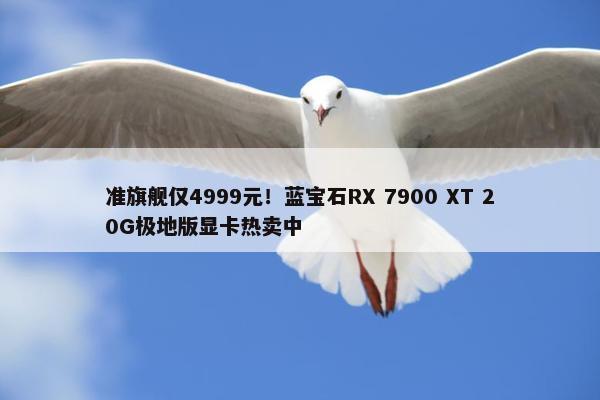 准旗舰仅4999元！蓝宝石RX 7900 XT 20G极地版显卡热卖中