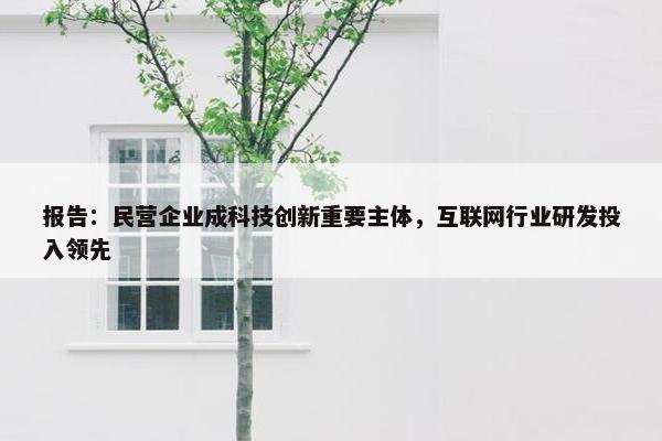 报告：民营企业成科技创新重要主体，互联网行业研发投入领先