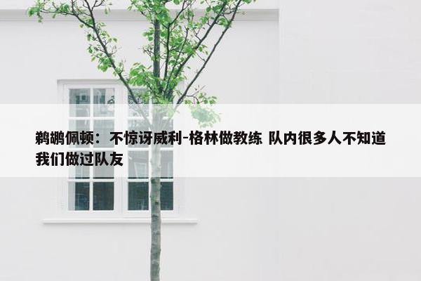 鹈鹕佩顿：不惊讶威利-格林做教练 队内很多人不知道我们做过队友