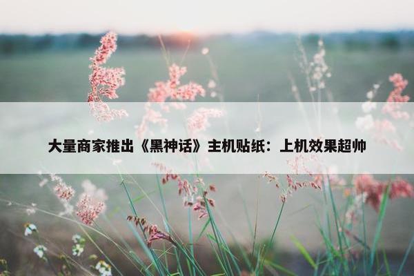 大量商家推出《黑神话》主机贴纸：上机效果超帅