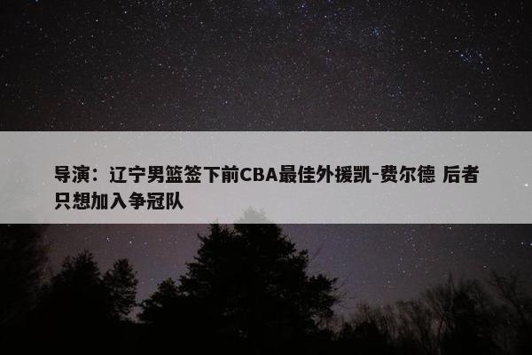 导演：辽宁男篮签下前CBA最佳外援凯-费尔德 后者只想加入争冠队