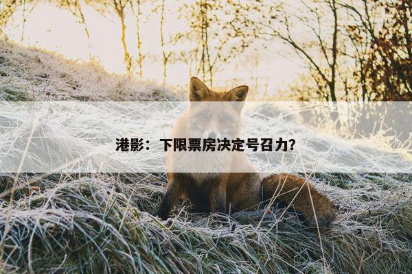 港影：下限票房决定号召力？