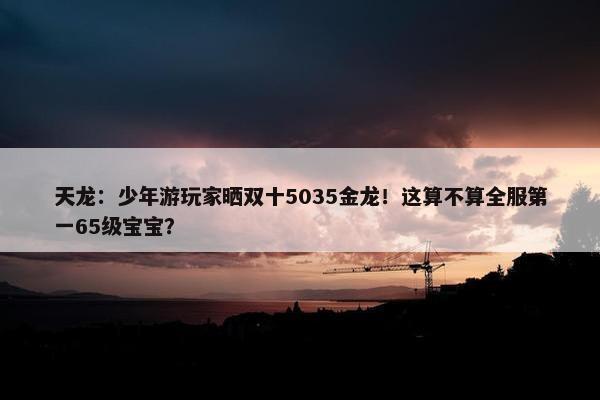 天龙：少年游玩家晒双十5035金龙！这算不算全服第一65级宝宝？