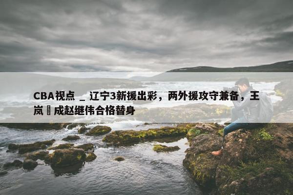 CBA视点 _ 辽宁3新援出彩，两外援攻守兼备，王岚嵚成赵继伟合格替身