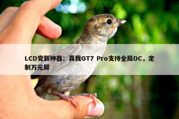 LCD党新神器：真我GT7 Pro支持全局DC，定制万元屏