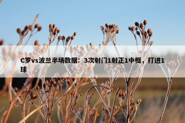 C罗vs波兰半场数据：3次射门1射正1中框，打进1球