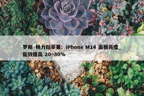 罗斯·杨力挺苹果：iPhone M14 面板亮度_能效提高 20~30%