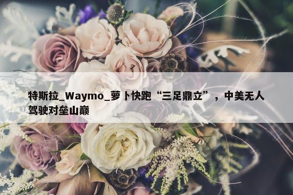 特斯拉_Waymo_萝卜快跑“三足鼎立”，中美无人驾驶对垒山巅