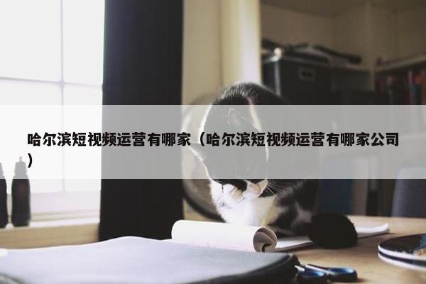 哈尔滨短视频运营有哪家（哈尔滨短视频运营有哪家公司）