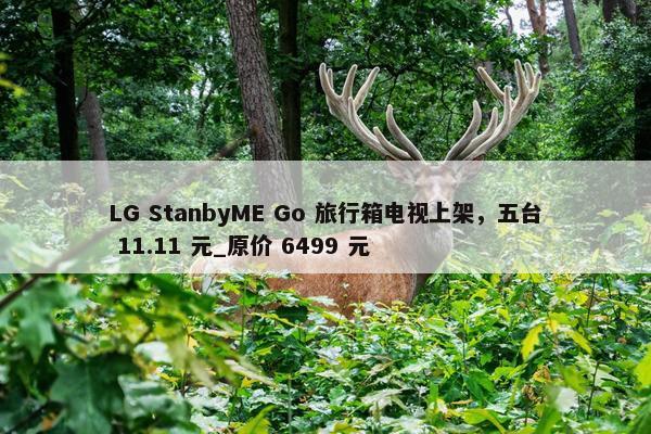 LG StanbyME Go 旅行箱电视上架，五台 11.11 元_原价 6499 元