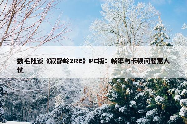 数毛社谈《寂静岭2RE》PC版：帧率与卡顿问题惹人忧