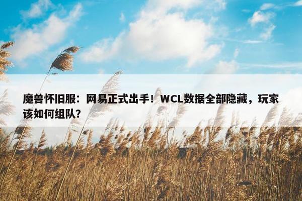 魔兽怀旧服：网易正式出手！WCL数据全部隐藏，玩家该如何组队？