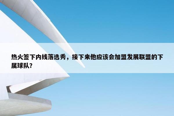 热火签下内线落选秀，接下来他应该会加盟发展联盟的下属球队？