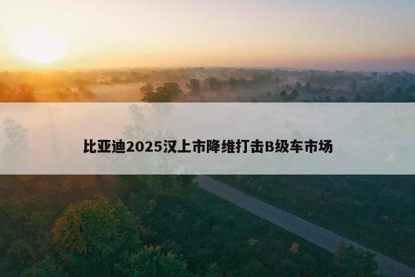 比亚迪2025汉上市降维打击B级车市场