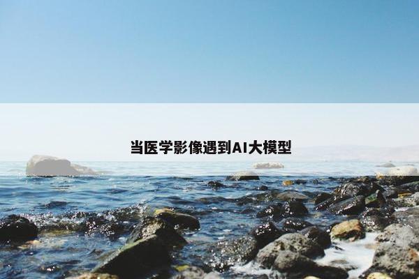 当医学影像遇到AI大模型