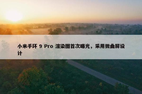 小米手环 9 Pro 渲染图首次曝光，采用微曲屏设计