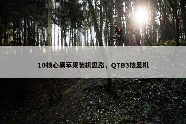 10核心黑苹果装机思路，QTB3核显机