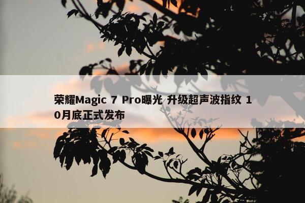 荣耀Magic 7 Pro曝光 升级超声波指纹 10月底正式发布