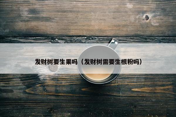 发财树要生果吗（发财树需要生根粉吗）