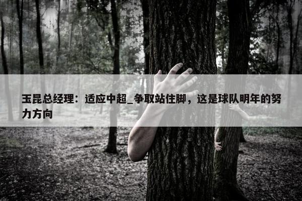 玉昆总经理：适应中超_争取站住脚，这是球队明年的努力方向