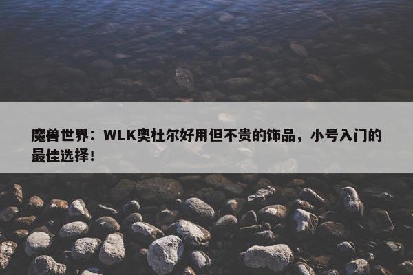 魔兽世界：WLK奥杜尔好用但不贵的饰品，小号入门的最佳选择！