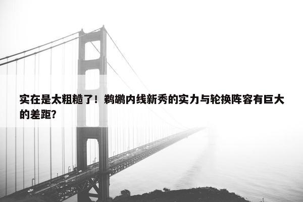 实在是太粗糙了！鹈鹕内线新秀的实力与轮换阵容有巨大的差距？