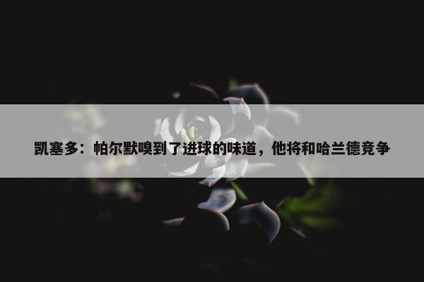 凯塞多：帕尔默嗅到了进球的味道，他将和哈兰德竞争