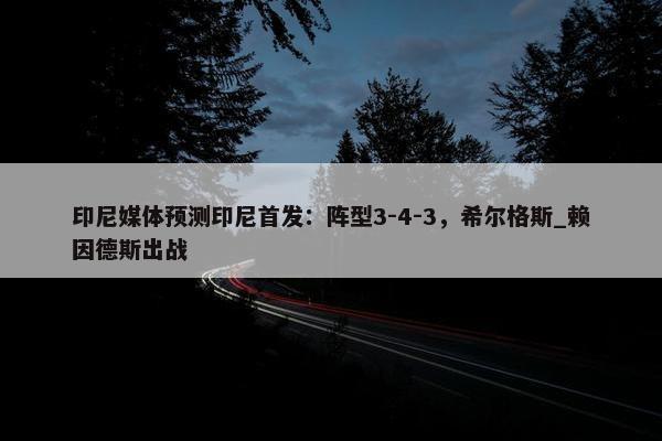 印尼媒体预测印尼首发：阵型3-4-3，希尔格斯_赖因德斯出战