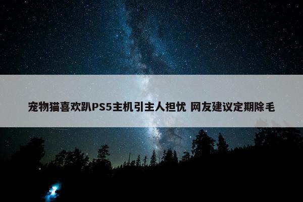 宠物猫喜欢趴PS5主机引主人担忧 网友建议定期除毛