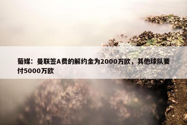 葡媒：曼联签A费的解约金为2000万欧，其他球队要付5000万欧