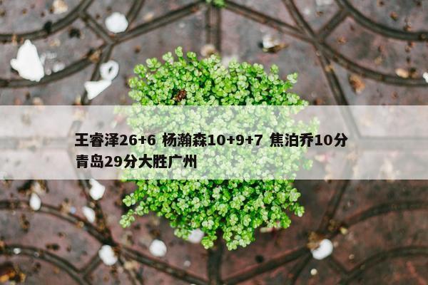 王睿泽26+6 杨瀚森10+9+7 焦泊乔10分 青岛29分大胜广州