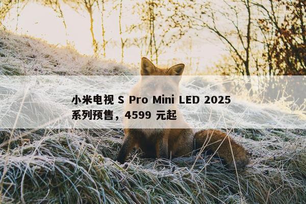 小米电视 S Pro Mini LED 2025 系列预售，4599 元起