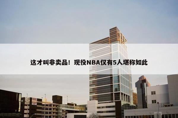 这才叫非卖品！现役NBA仅有5人堪称如此