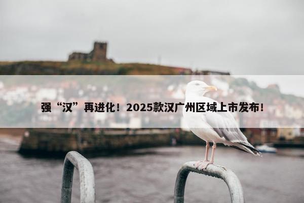 强“汉”再进化！2025款汉广州区域上市发布！