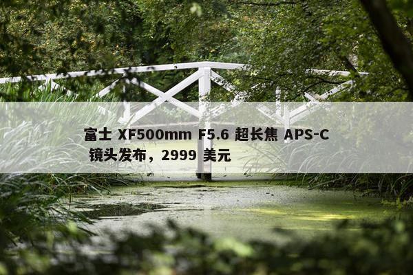 富士 XF500mm F5.6 超长焦 APS-C 镜头发布，2999 美元