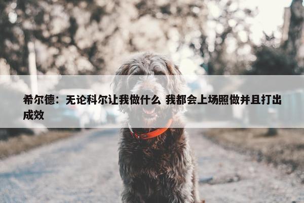 希尔德：无论科尔让我做什么 我都会上场照做并且打出成效