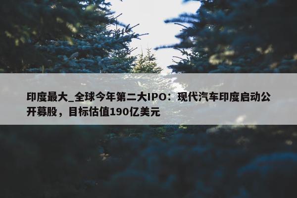 印度最大_全球今年第二大IPO：现代汽车印度启动公开募股，目标估值190亿美元