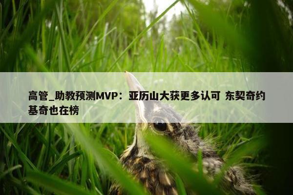 高管_助教预测MVP：亚历山大获更多认可 东契奇约基奇也在榜