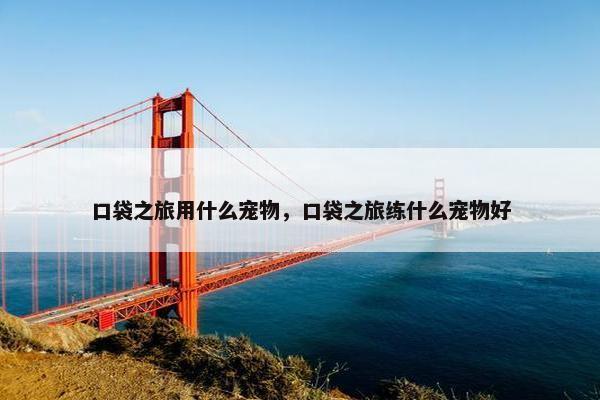 口袋之旅用什么宠物，口袋之旅练什么宠物好