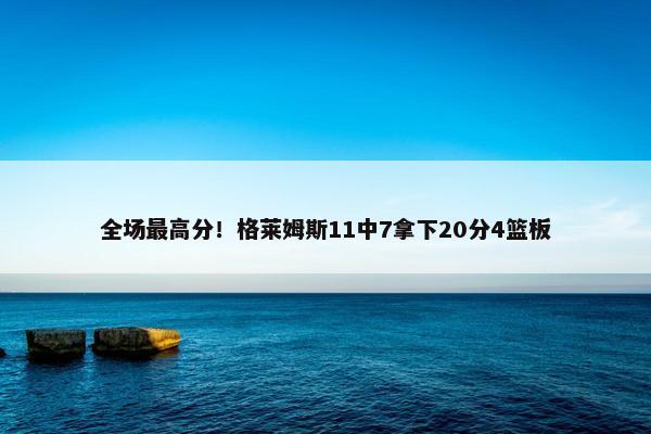 全场最高分！格莱姆斯11中7拿下20分4篮板