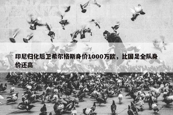 印尼归化后卫希尔格斯身价1000万欧，比国足全队身价还高